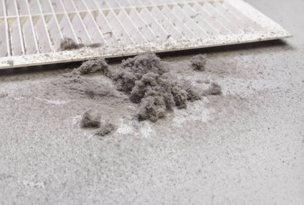 Best Dryer Vent Cleaning Services  in La Conner, WA